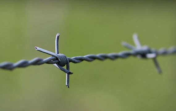  Barbed Wire Manufacturers in Lakshadweep